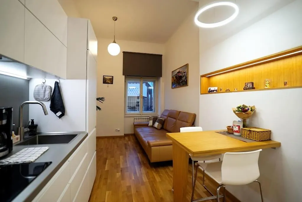 Cozy Apartment With Garage location